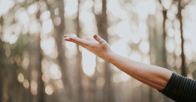 Functional Medicine